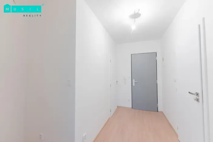 Pronájem bytu 2+kk, Olomouc - Nové Sady, Věry Pánkové, 70 m2