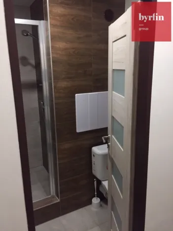 Pronájem bytu 1+kk, Opava, Na Pastvisku, 28 m2