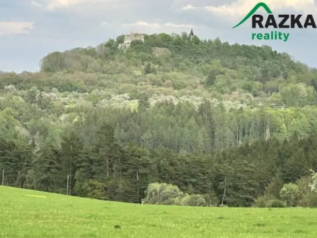 Prodej komerčního pozemku, Lestkov - Domaslav, 4866 m2