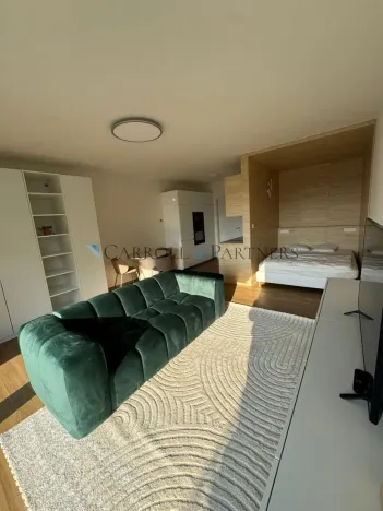 Pronájem bytu 1+kk, Ostrava - Slezská Ostrava, U Hájenky, 38 m2