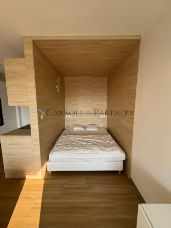 Pronájem bytu 1+kk, Ostrava - Slezská Ostrava, U Hájenky, 38 m2