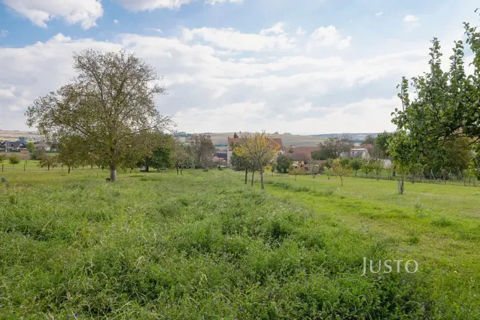 Prodej pozemku pro bydlení, Těmice, 2331 m2