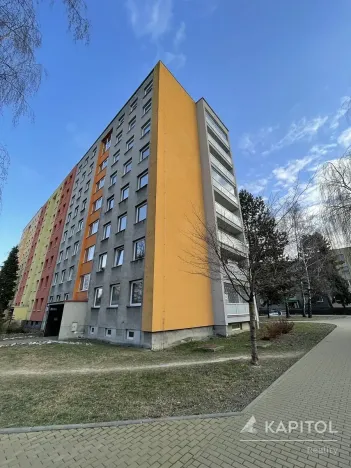 Pronájem bytu 1+1, Nový Jičín, Riegrova, 29 m2