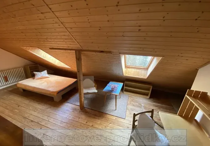 Pronájem pokoje, Liberec, Lyžařská, 16 m2