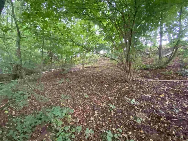 Prodej pozemku, Helvíkovice, 1994 m2