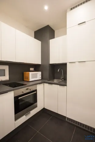 Pronájem bytu 1+kk, Praha - Nusle, Na bitevní pláni, 34 m2