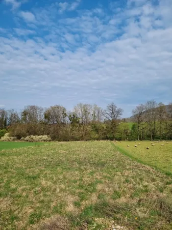 Pronájem pole, Štramberk, Novojičínská, 850 m2