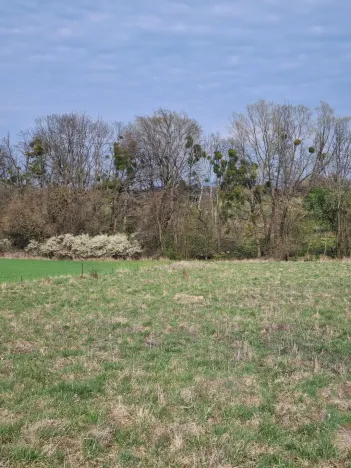 Pronájem pole, Štramberk, Novojičínská, 850 m2