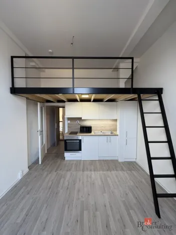 Prodej bytu 1+kk, Ostrava - Přívoz, Palackého, 26 m2