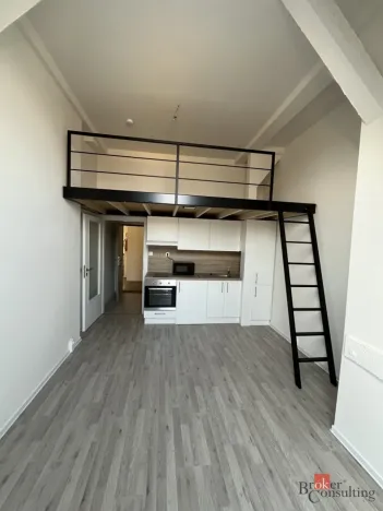 Prodej bytu 1+kk, Ostrava - Přívoz, Palackého, 26 m2