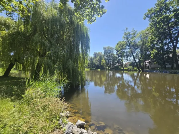 Prodej bytu 3+kk, Jemnice, Tyršova, 109 m2