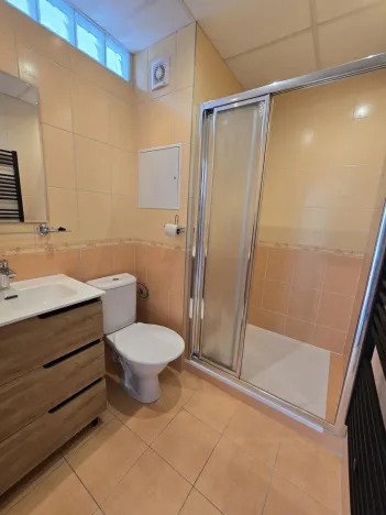 Pronájem bytu 1+1, Moravské Budějovice, Šafaříkova, 33 m2