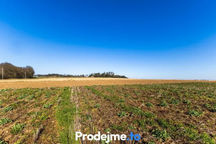 Prodej pozemku pro bydlení, Budišov, 561 m2