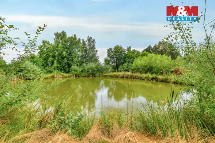 Prodej komerčního pozemku, Cheb - Bříza, 3265 m2