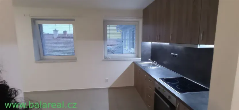 Pronájem bytu 1+kk, Tučapy, 39 m2