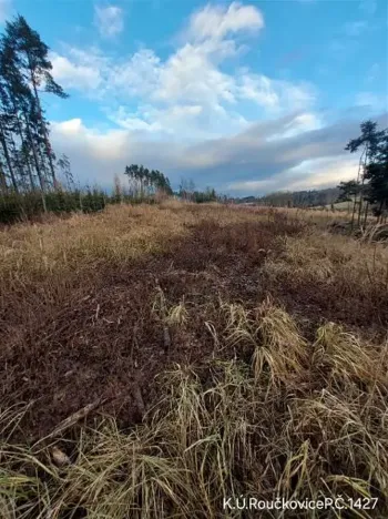 Prodej lesa, Pacov, 10995 m2