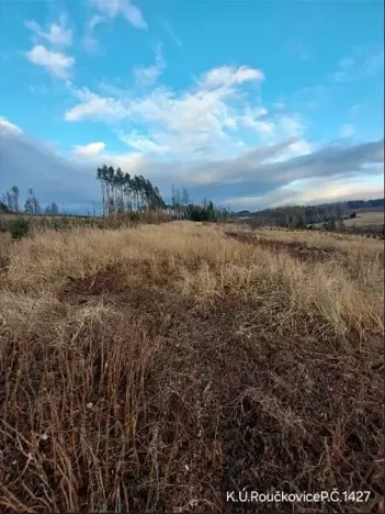 Prodej lesa, Pacov, 10995 m2