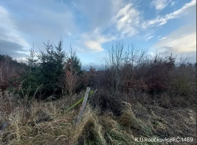 Prodej lesa, Pacov, 10995 m2