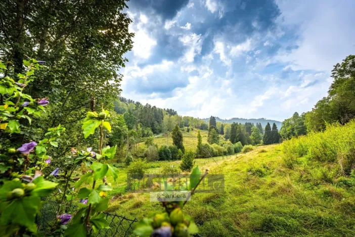 Prodej chalupy, Rožmitál na Šumavě, 600 m2