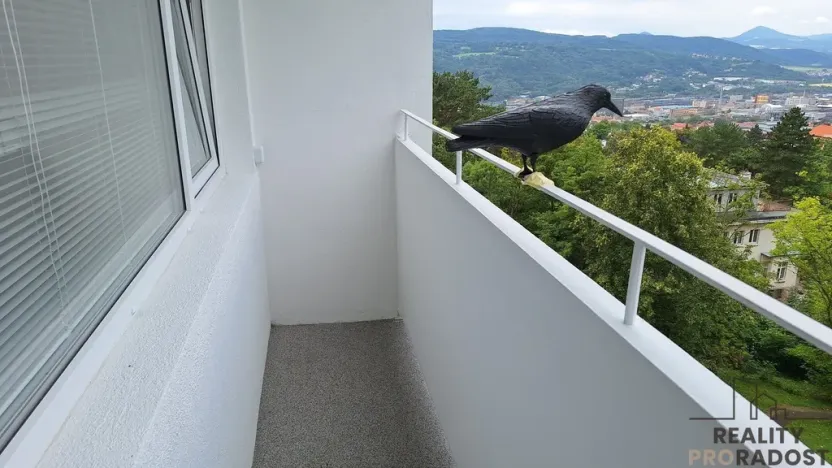 Pronájem bytu 1+kk, Ústí nad Labem, Malátova, 24 m2