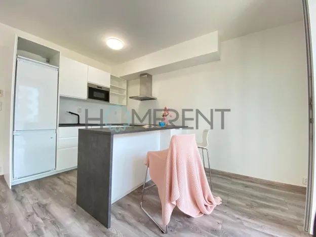 Pronájem bytu 1+kk, Praha - Hostivař, Bratislavská, 35 m2