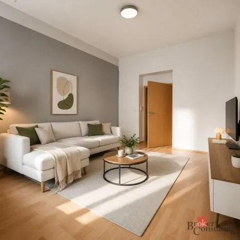 Prodej bytu 2+kk, Praha - Žižkov, Hartigova, 67 m2