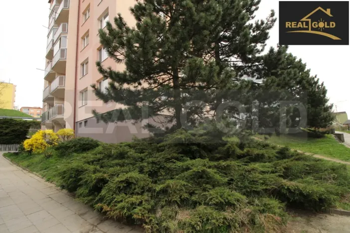 Prodej bytu 3+1, Třebíč, Energetiků, 60 m2