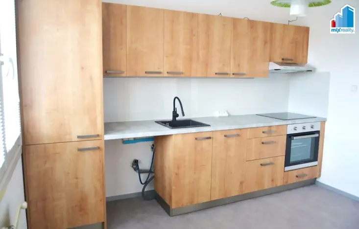 Pronájem bytu 1+1, Plzeň - Bolevec, Manětínská, 40 m2