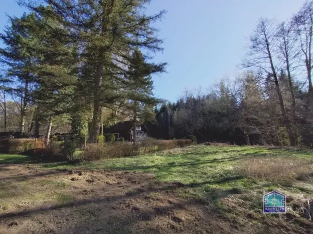 Prodej chaty, Spálené Poříčí - Vlkov, 50 m2