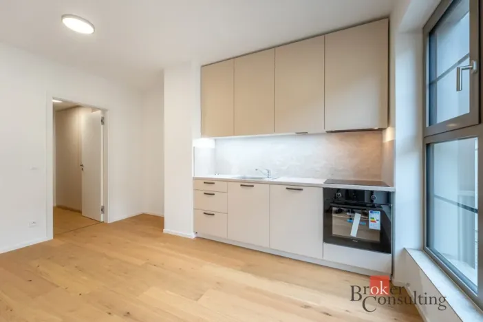 Pronájem bytu 1+kk, Brno - Zábrdovice, Bratislavská, 24 m2