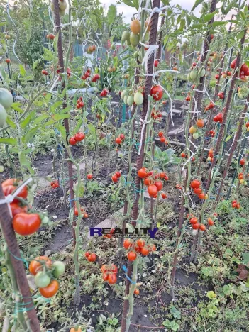 Prodej zahrady, Podbořany, Sídliště Míru, 241 m2