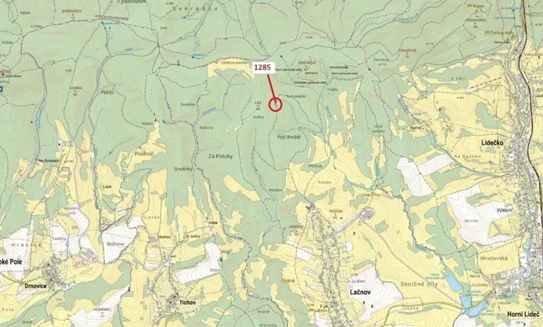Dražba lesa, Lačnov, 849 m2