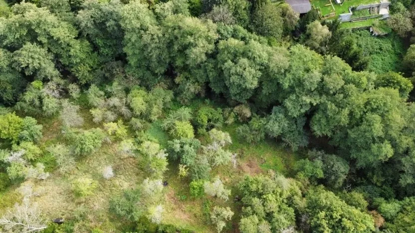 Prodej zahrady, Hýskov, 1984 m2