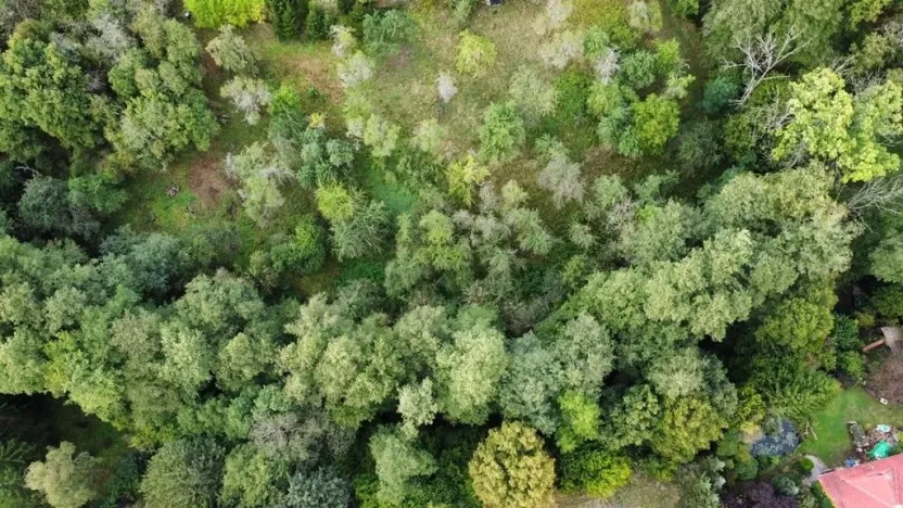 Prodej zahrady, Hýskov, 1984 m2