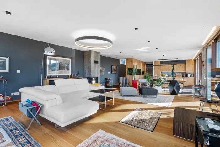 Prodej vícegeneračního domu, Tmaň, Prof. Krbce, 294 m2