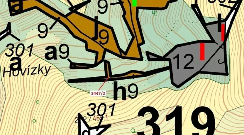 Dražba lesa, Hovězí, 550 m2