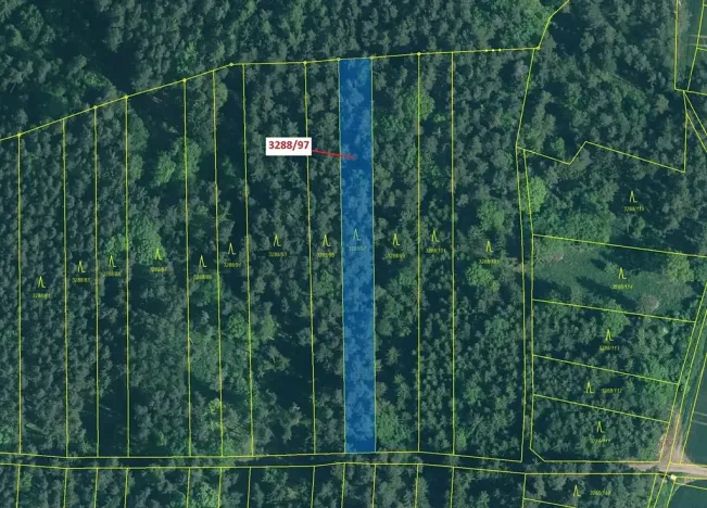 Dražba lesa, Hosty, 1729 m2