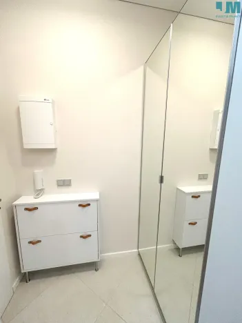 Pronájem bytu 2+1, Praha, Vrchlického, 51 m2