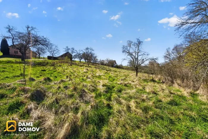 Prodej pozemku pro bydlení, Březnice, 1600 m2
