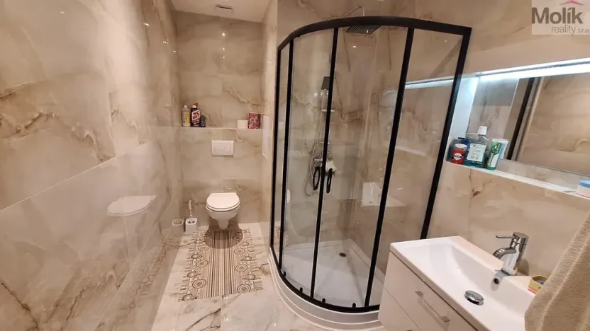 Prodej bytu 2+kk, Teplice - Trnovany, Přítkovská, 47 m2