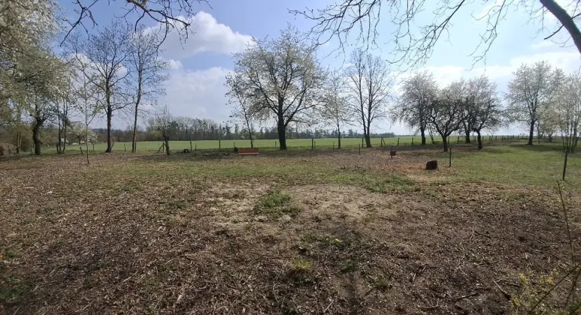 Prodej pozemku, Jenišovice, 871 m2