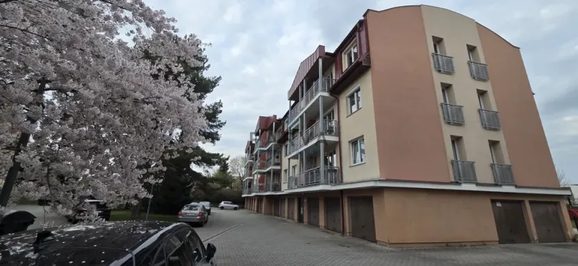 Pronájem bytu 4+1, Plzeň - Černice, K Lutové, 80 m2