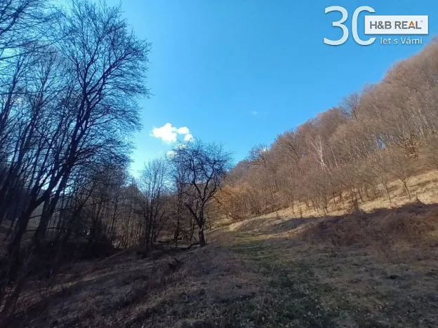 Prodej pozemku, Vsetín, 52963 m2