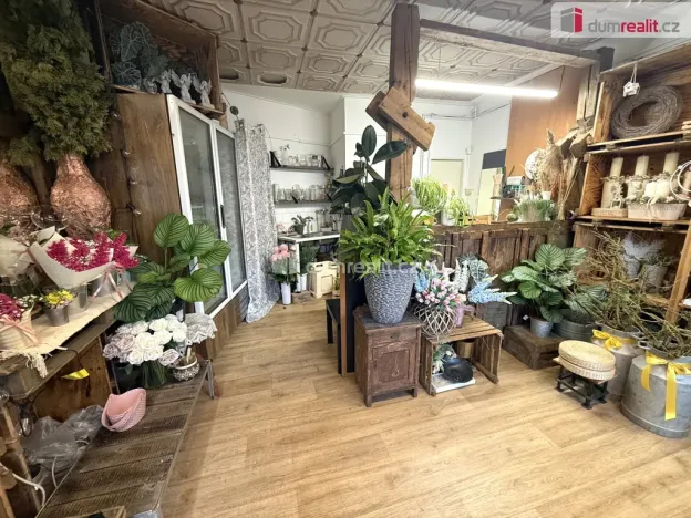 Pronájem obchodního prostoru, Zlín - Malenovice, Masarykova, 23 m2