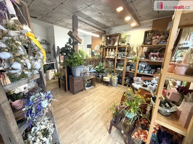 Pronájem obchodního prostoru, Zlín - Malenovice, Masarykova, 23 m2