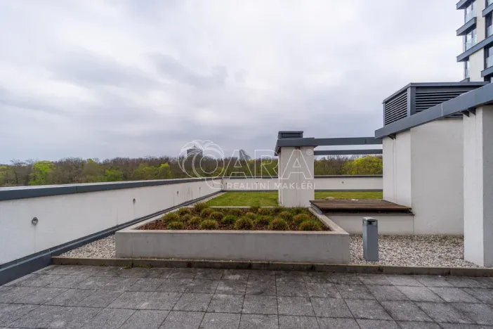 Pronájem bytu 1+kk, Praha - Žižkov, Olšanská, 37 m2