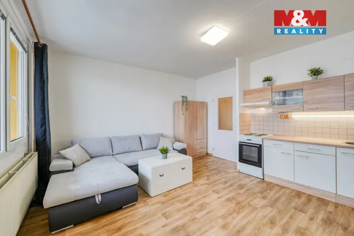 Pronájem bytu 1+kk, Plzeň - Severní Předměstí, Sokolovská, 27 m2