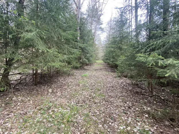 Prodej pozemku, Volfířov - Brandlín, 5958 m2