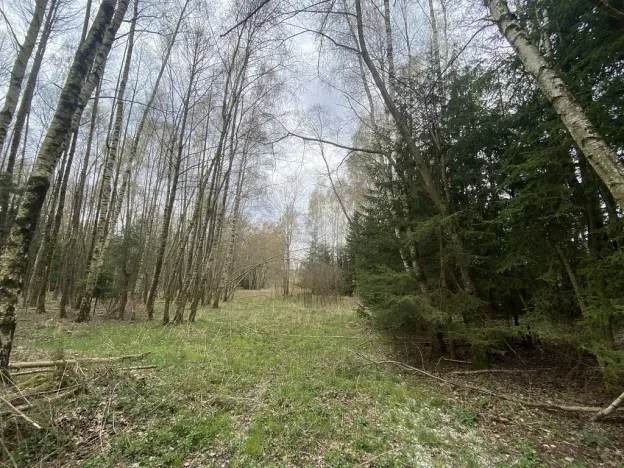 Prodej pozemku, Volfířov - Brandlín, 5958 m2