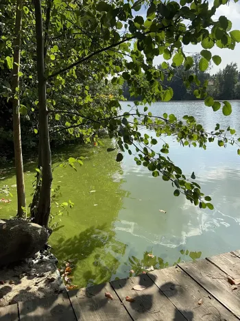 Prodej rodinného domu, Hrusice, K Penzionu, 360 m2